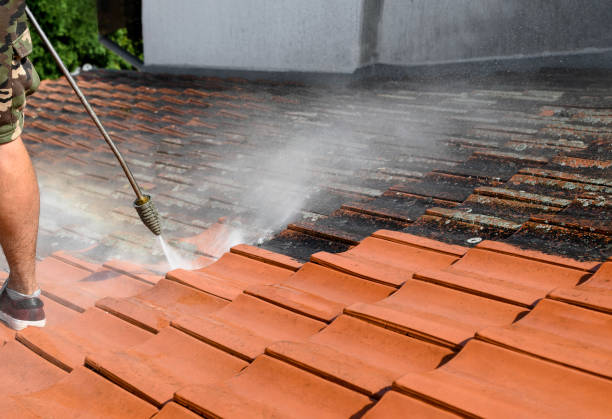 Best Exterior Home Cleaning  in Berkeley, CA